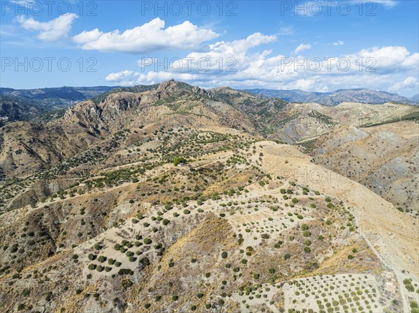 Mountains and Olive groves around Ghost Town from a drone, Pentedattilo Village, Calabria, Italy,