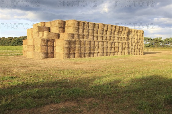 Stacked straw bales in field at Ramsholt, Suffolk, England, UK