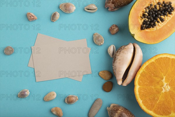 Gray paper business card with ripe cut papaya, orange, seashells on blue pastel pastel background.