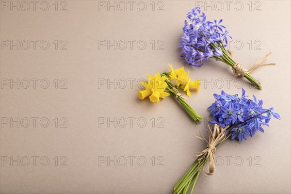 Spring snowdrop flowers bluebells, narcissus on beige pastel background. side view, copy space,