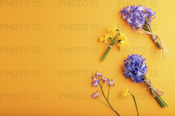 Spring snowdrop flowers bluebells, narcissus on orange pastel background. top view, flat lay, copy
