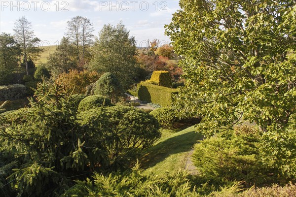 Park with green lawn, trees, hedges, trimmed bushes in autumn. Modern landscape design
