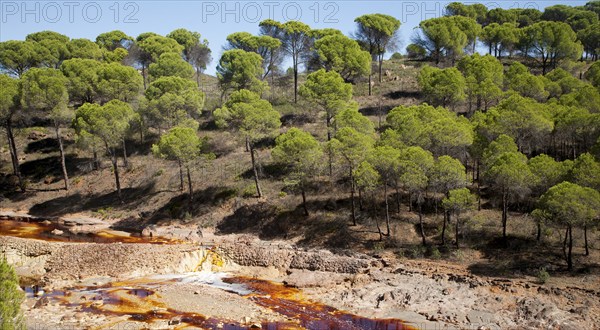 Blood red mineral laden water Rio Tinto river Minas de Riotinto mining area, Huelva province,