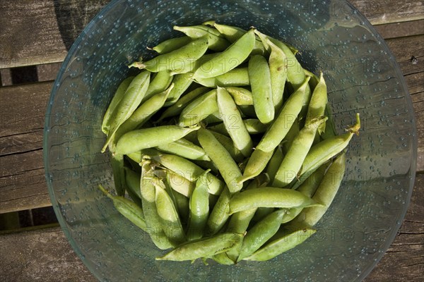 Peas