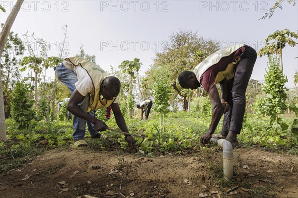 Farmers practising organic farming at the agroecological training centre Centre Beo-Noree in