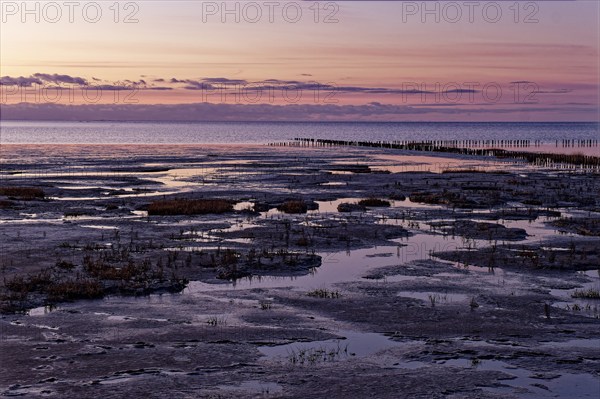 Evening tidal flat landscape shortly after sunset at low tide in the Wadden Sea National Park.