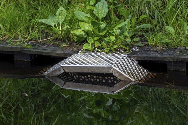 Metal wildlife escape ramp, steps along riverbank enabling trapped animals to leave the water that