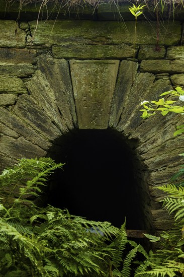 Mouth hole, Drei Fürsten Stolln, Halsbrücke, Halsbrücke, Saxony, Germany, Europe