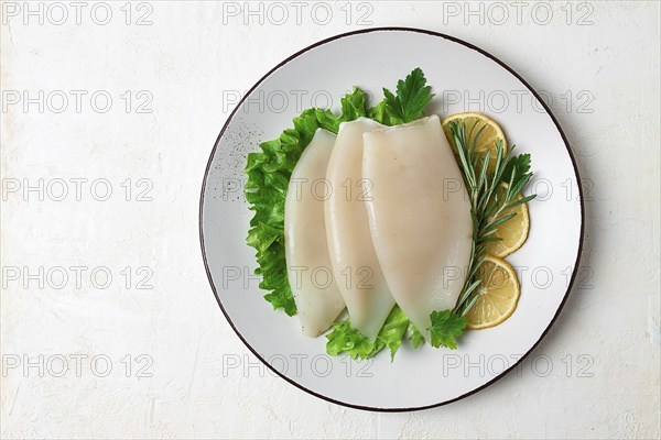 Fresh body, squid, raw, three carcasses, top view, no people, on a plate