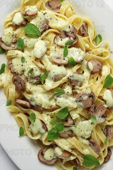 Fettuccine with champignons, basil, in cream sauce, homemade, no people