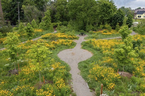 Detroit, Michigan, Residents formed a nonprofit organization called 'Arboretum Detroit' to preserve