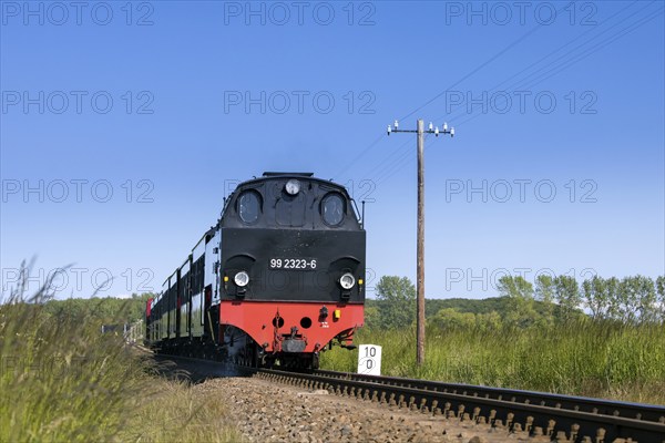 Molli locomotive Orenstein & Koppel 99. 2323-6 on narrow-gauge railway running between Bad Doberan