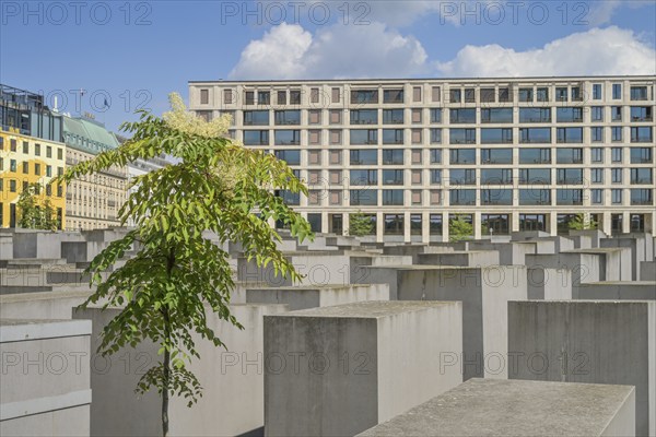 Holocaust Memorial, Field of Stelae, Mitte, Berlin, Germany, Europe