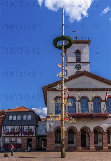 Half-timbered houses and the town hall tower in the old town centre, Seligenstadt, Hesse, Germany,