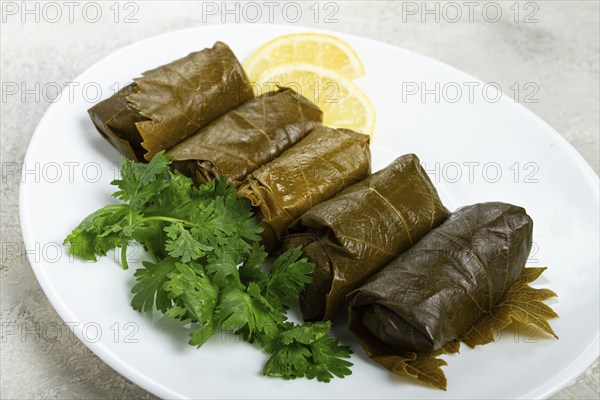 Dolma, minced meat with rice, in grape leaves, rolls with minced meat, on a white plate, top view,
