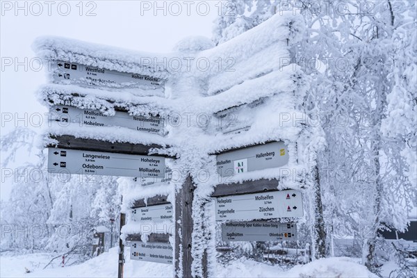 Signposts, hiking signs, winter in the Sauerland, Hochsauerlandkreis, at Kahler Asten, near