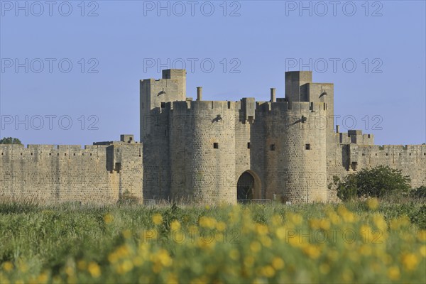 Porte de la Reine, town gate and historic town fortifications with town wall, Aigues-Mortes, Gard,