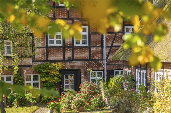 Community Probsteierhagen, former inn PLagmann, half-timbered house with thatched roof, tree in