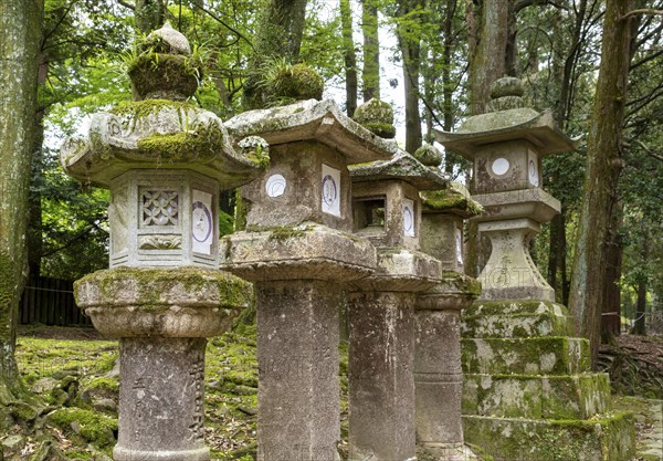 Stone lanterns, Kasuga-taisha shrine, Nara, Japan, Asia