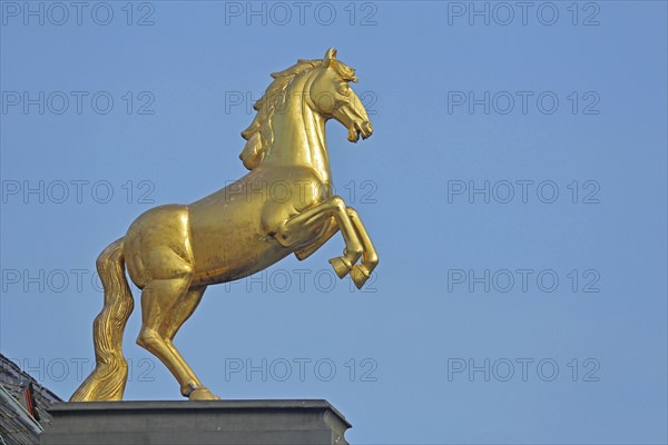 Golden horse figure by sculptor Heinz Müller-Olm on the roof of the Landesmuseum, golden, horse