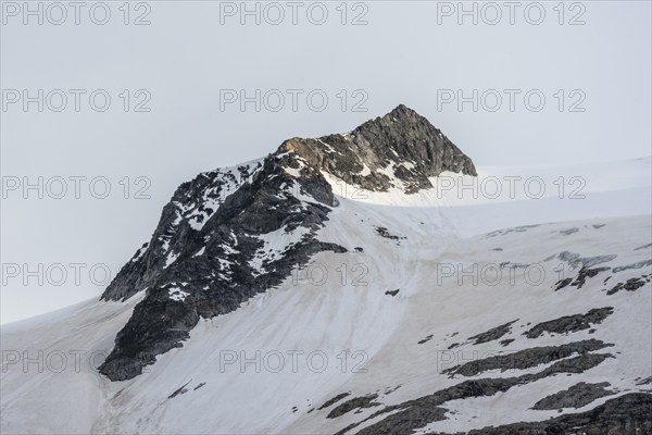 Gipfel Felsköpfel below the Schwarzenstein with Schwarzensteinkees, Zillertal Alps, Tyrol, Austria,
