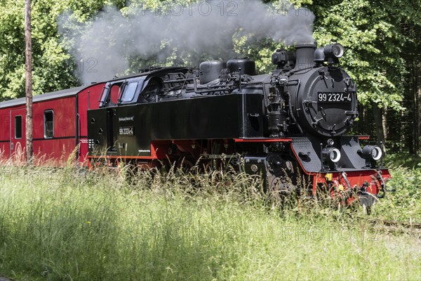 Bäderbahn Molli, Kühlungsborn, Mecklenburg-Vorpommern, Germany, Europe