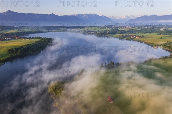 Aerial view of a lake in front of mountains in the morning light, fog, summer, Riegsee, view of