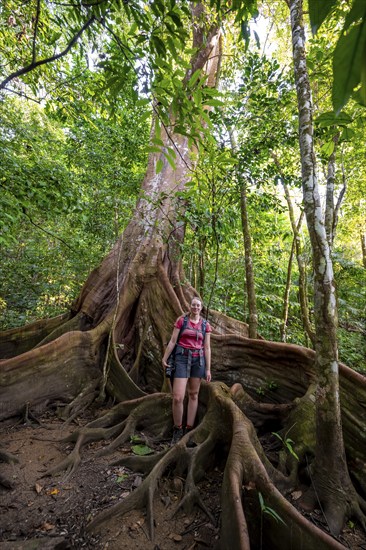 Young woman with camera, tourist standing between the roots of a strangler fig (Ficus americana),