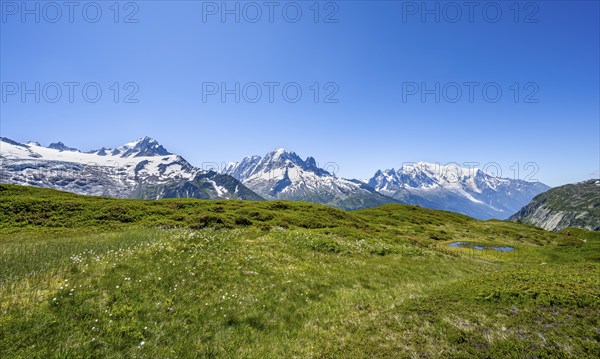 Mountain panorama with glaciated mountain peaks, Aiguille de Chardonnet with Glacier du Tour,
