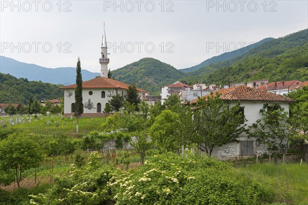 Rural scene with mosque and minaret in the foreground, surrounded by lush vegetation and mountains,