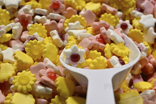 Confectionery Flowers Fruit gums