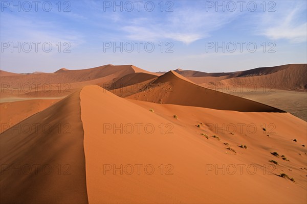 On the Dune 45, Namib Desert, Namibia, Africa