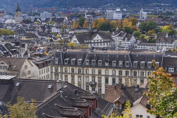 Bird's eye view of city with various buildings and autumn leaves, Zurich, Switzerland, Europe