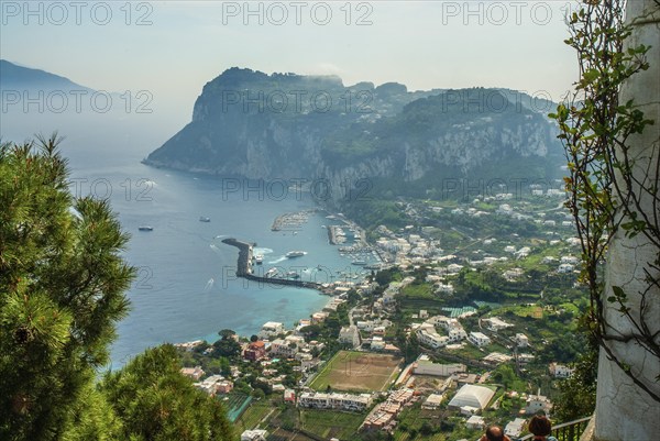 View of the coast and Marina Grande, Island of Capri, Gulf of Naples, Campania, Mediterranean Sea,