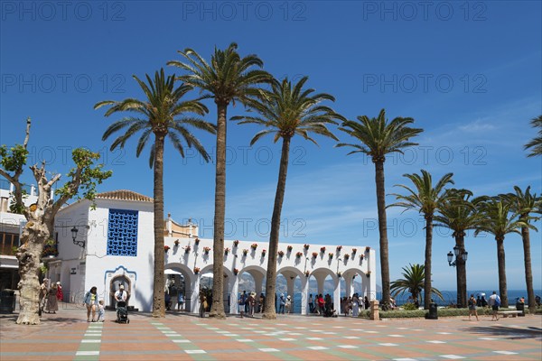Sunny square with tall palm trees, white buildings and views of the sea under a clear blue sky,