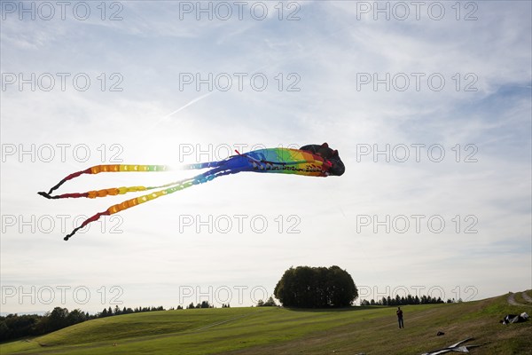 Large stunt kite, Hütten, Rickenbach, Hotzenwald, Southern Black Forest, Black Forest,