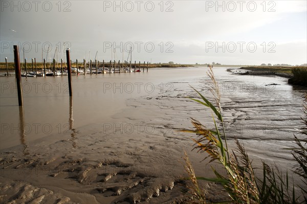 Low water, Ems, silt inflow, ferry harbour, Petkum, East Frisia, Germany, Europe
