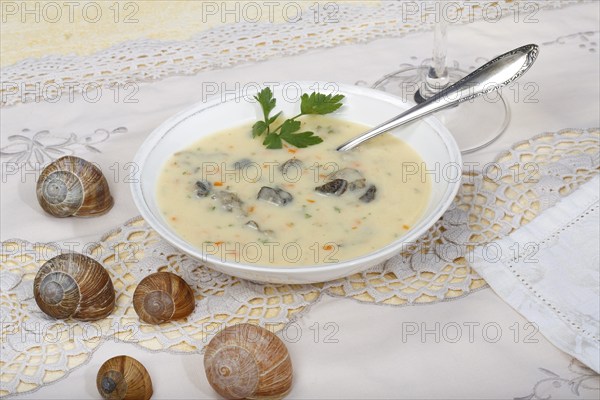 Baden cuisine, snail soup, typical Baden, vineyard snail shell, snail shells, parsley, spoon, soup