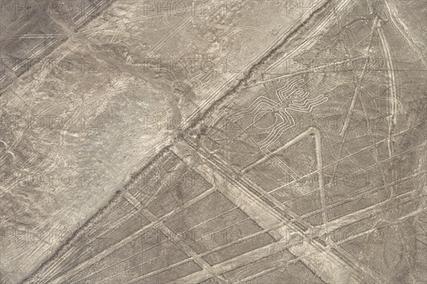 Aerial, The Spider, Nazca geoglyph, Nazca Lines, Nazca, Peru, South America