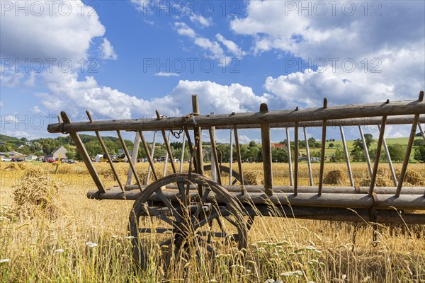The Cunnersdorf village association presented historical harvesting techniques in agriculture,