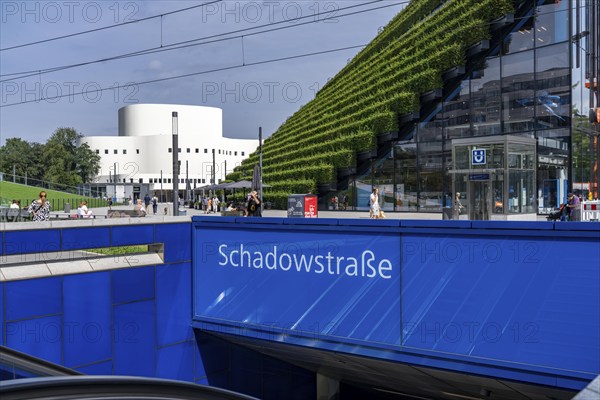 Green façade, consisting of over 30, 000 hornbeams, which form a hedge a good 8 kilometres long, on