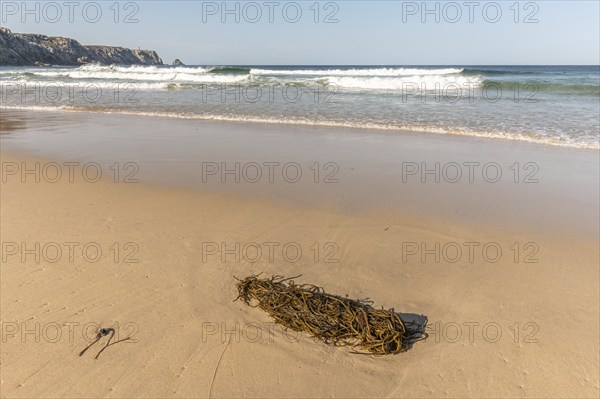 Fine sandy beach on the Atlantic coast. Camaret sur mer, Crozon, Finistere, Brittany, France,
