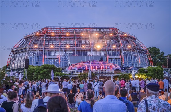Botanical Night, illuminated large tropical house, Botanical Garden, Lichterfelde,