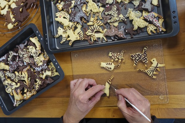 Swabian cuisine, Swabian Christmas biscuits, cookie cutters, shortbread biscuits painted with