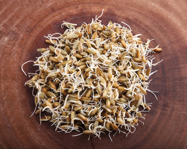 Heap of germinated rye on brown wooden background, close up, top view
