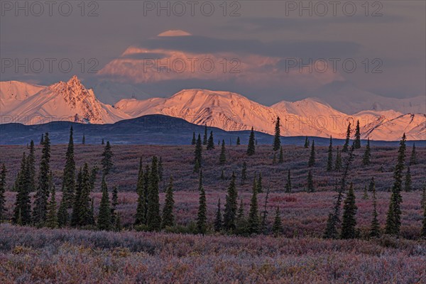 Mount Denali and Alaska Range in the morning light, alpenglow, autumn, tundra, Denali National