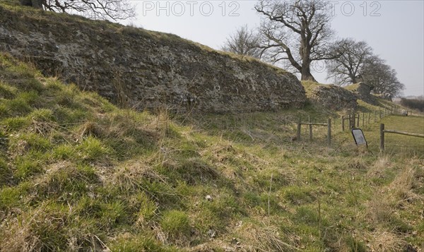 Site of Roman town of Venta Icenorum, Caister St Edmund, Norfolk, England, United Kingdom, Europe