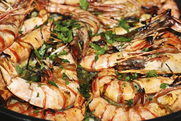Grilled black tiger prawns