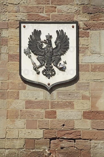 Coat of arms with black imperial eagle with crown, federal eagle, eagle figure, detail, German
