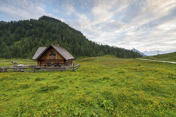 Ursprungalm, Alpine hut, Alpine meadow, Mountain landscape, Schladminger Tauern, Schladming, Styria